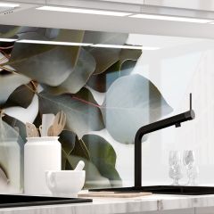 37850 Küchenrückwand - EUKALYPTUS-stickerprofis