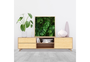 Moebelfolie - HONIGKIEFER (12,49 €/m²) - grafik