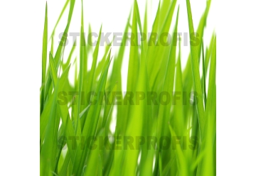 Kuechenrueckwand - WIESEN GRAS - grafik