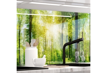Kuechenrueckwand - WALD - grafik