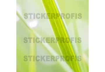 Kuechenrueckwand - MODERN GRASS - grafik