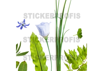 Kuechenrueckwand - SELECTED HERBS - grafik