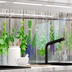 Kuechenrueckwand - MEDITERRANE KRaeUTER - grafik