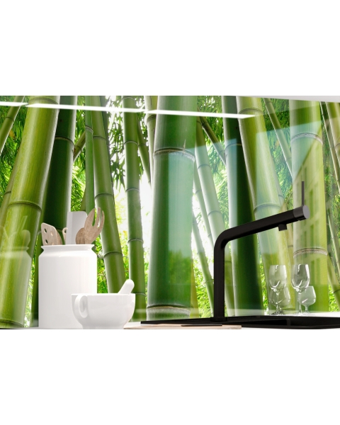 Kuechenrueckwand - BAMBUSWALD - grafik
