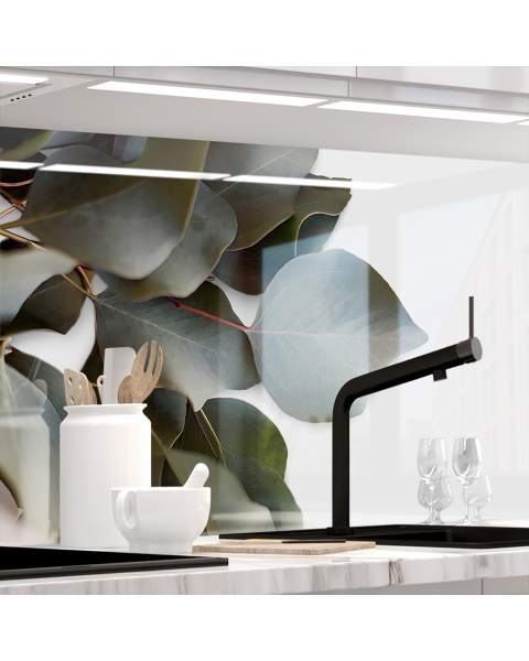 Kuechenrueckwand - EUKALYPTUS - grafik