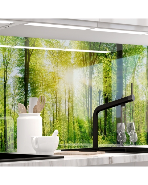 Kuechenrueckwand - WALD - grafik
