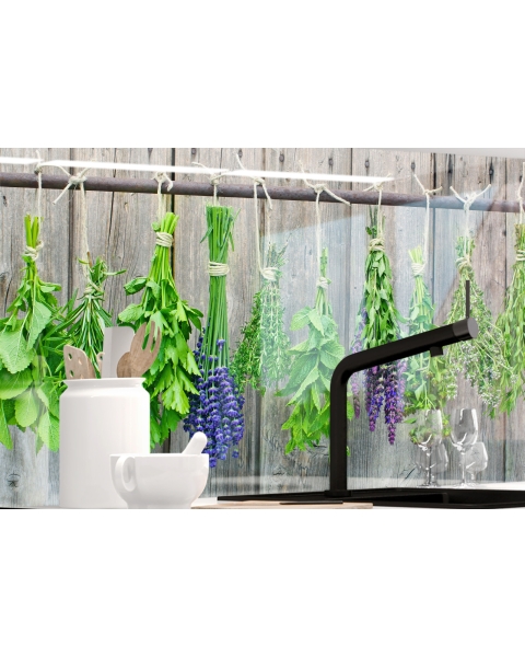 Kuechenrueckwand - MEDITERRANE KRaeUTER - grafik