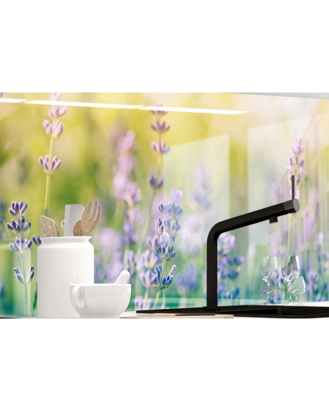 Kuechenrueckwand - LAVENDEL - grafik